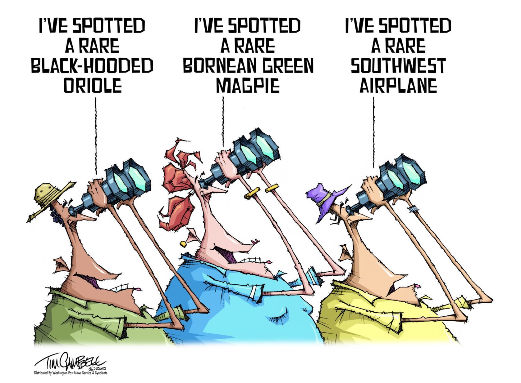 Tim Campbell cartoon